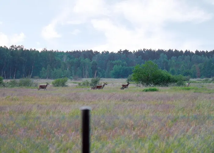 Zakatek Ventus Ii By Interhome Smoldzinski Las